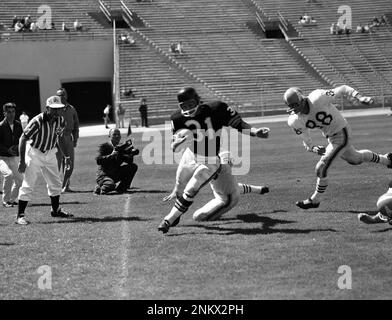 Raiders play their home opener at Kezar Stadium against the Houston Oilers,  September 11, 1960 Billy Lott (31) tries to move the ball forward (Gordon  Peters/San Francisco Chronicle via AP Stock Photo - Alamy