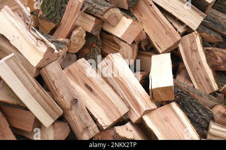 Pile of split oak and ash logs for burning, Hungary Stock Photo