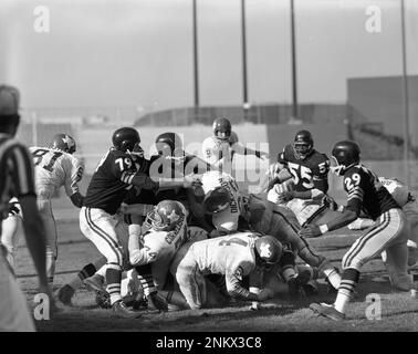 Raiders play their first pre-season game at Kezar Stadium against the  Dallas Texan July 31, 1960 (Bob Campbell/San Francisco Chronicle via AP  Stock Photo - Alamy