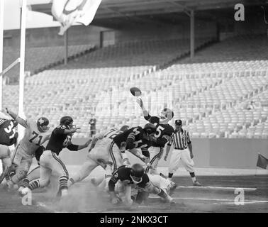 The Oakland Raiders play the Dallas Texans at Candlestick Park, September  24, 1961 Tom Flores injued (Bob Campbell/San Francisco Chronicle via AP  Stock Photo - Alamy