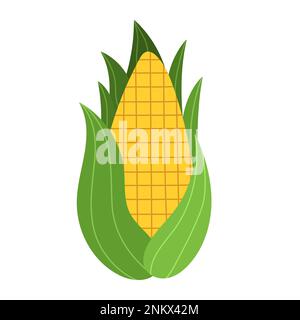 Sweet golden corn in cartoon style. Farm vegetable element Stock Vector