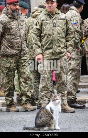 London, UK. 24th Feb, 2023. Larry the Downing Street cat makes his entrance after the event, and is cuddled and stroked by the Ukrainian soldiers. Rishi Sunak, Prime Minister of the United Kingdom, with his wife Akashta, observes a minute's silence to mark the one-year anniversary of the Russian invasion of Ukraine. The PM is joined outside 10 Downing Street by the Ukrainian Ambassador to the UK, members of the Ukrainian Armed Forces and representatives from each Interflex nation, as well as Ukrainian singers. Credit: Imageplotter/Alamy Live News Stock Photo
