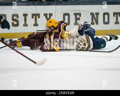 SOUTH BEND, IN - JANUARY 29: Minnesota Golden Gophers forward
