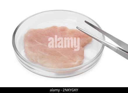 Petri dish with piece of raw cultured meat and tweezers on white background Stock Photo