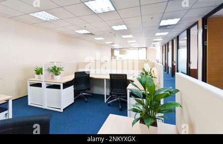 A bright and modern office space featuring cubicles with potted plants and light-filled windows Stock Photo