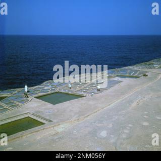 1960s, historical, a view from this era over salt pans on the coast of Malta. There are several salt pan areas in the country, with Salina Bay, near Bugibba, the main production area of this sea salt, which is collected, processed and packaged by hand. Stock Photo