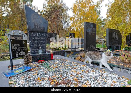 Grave of  Anatoly Dyatlov (3. 3. 1931 - 13. 12. 1995) in Kyiv, Ukraine, October 18, 2021. Dyatlov was Soviet engineer who was the deputy chief enginee Stock Photo