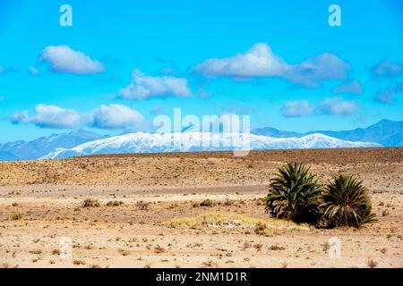 Afrika, Marokko, Südmarokko, Ouarzazate, Atlasgebirge Stock Photo