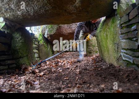 24 February 2023, Saxony-Anhalt, Höhe Börde: Oliver Strätz, volunteer archaeological curator, clears the entrance to the burial chamber of the 'Küchentannen' megalithic tomb of leaves and pine needles. In the Haldensleber forest near the village of Süplingen, spring cleaning has begun at the megalithic tombs. In the forests around Haldensleben there are more than 80 megalithic graves, the largest closed megalithic grave area in Central Europe. The megalithic grave 'Küchentannen' was built in 3000 B.C. during the Neolithic period. The builders were farmers and cattle breeders, according to an i Stock Photo