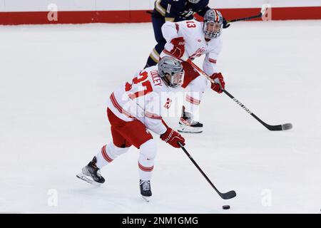 Ohio State's Eric Cooley during an NCAA hockey game against Bentley on  Friday, Oct. 8, 2021, in Waltham, Mass. (AP Photo/Winslow Townson Stock  Photo - Alamy