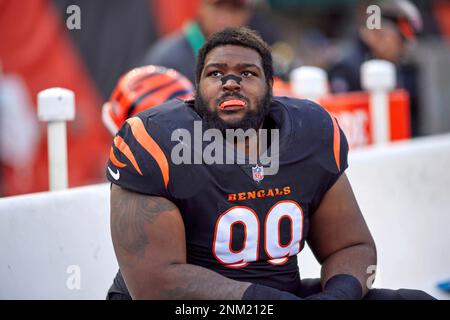 Cincinnati Bengals defensive tackle BJ Hill (92) during an NFL football  game against the New Orleans Saints, Sunday, Oct. 16, 2022, in New Orleans.  (AP Photo/Tyler Kaufman Stock Photo - Alamy