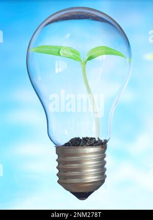 Small plant growing inside a lightbulb. Light Bulb with sprout inside. Green energy and environmental conservation concept. Stock Photo