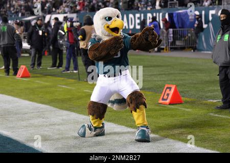 Philadelphia Eagles mascot Swoop, dressed as Batman, looks on during the  NFL football game against the Jacksonville Jaguar, Sunday, Oct. 2, 2022, in  Philadelphia. (AP Photo/Chris Szagola Stock Photo - Alamy