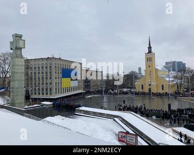 Tallinn, Estonia. 24th Feb, 2023. View of the military parade on Freedom Square during celebrations of the 105th anniversary of the Republic of Estonia, Credit: Alexander Welscher/dpa/Alamy Live News Stock Photo