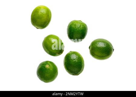 Isolatet Limes, background, fresh, green, citrus Stock Photo