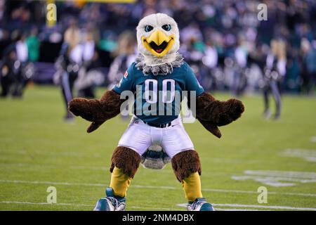 Philadelphia Eagles mascot Swoop, dressed as Batman, looks on during the  NFL football game against the Jacksonville Jaguar, Sunday, Oct. 2, 2022, in  Philadelphia. (AP Photo/Chris Szagola Stock Photo - Alamy