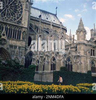 1960s, historical, exterior, side view of the Notre Dame, Paris, France. Stock Photo