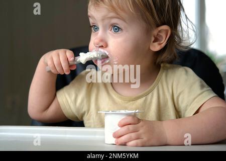 Young Kid Eating Blend Mashed Feed Sitting in High Chair. Baby Weaning. Little Girl Learning to Eat Yogurt, Feeding Himself. Small Hand with Spoon. Br Stock Photo