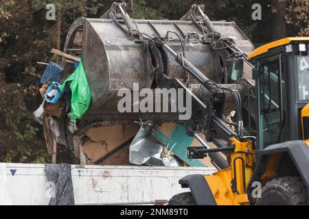 Skid steer loader moving garbage at the landfill site, before processing waste material, sorting, treatment, or recycling Stock Photo