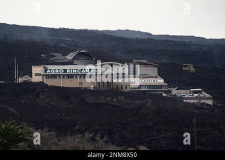 Smoke cloud from the Cumbre Vieja volcano, on 24 November 2021, in Los  Llanos de Aridane, Santa Cruz de Tenerife, Canary Islands, (Spain). The  Cumbre Vieja volcano, which began to roar on