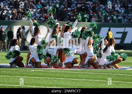 October 20, 2013: New York Jets flight crew cheerleader during the second  half of a week 7 AFC East matchup between the New England Patriots and the  N Stock Photo - Alamy