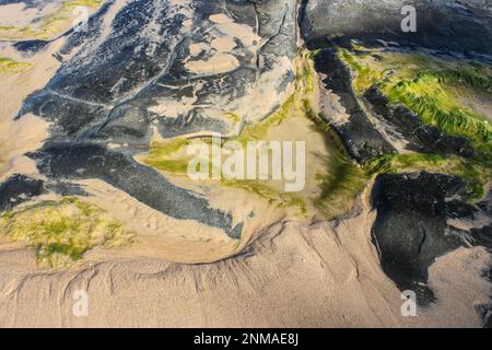 Almost abstract background of swirls of string algae and sand and rock at the oceans edge - top view Stock Photo