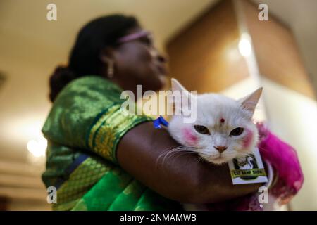 Dhaka, Bangladesh. 24th Feb, 2023. A cat ramp show was held at Jamuna Future Park in Dhaka. More than 3,000 cat lovers have registered for the event this year. They all came to the event with their pet cats. Through this event, everyone who came here urged everyone to be aware of the animals around them. (Credit Image: © Md. Rakibul Hasan/ZUMA Press Wire) EDITORIAL USAGE ONLY! Not for Commercial USAGE! Credit: ZUMA Press, Inc./Alamy Live News Stock Photo