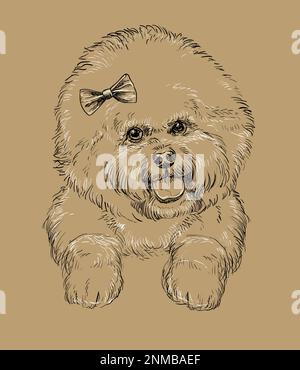 Close up Bichon Frise hand drawing monochrome vector isolated illustration on brown background. Cute realistic funny dog. For print, design, T-shirt, Stock Vector