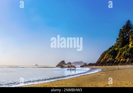 People and their dogs walking out into the surf on the beach in Northern California USA with cliff and jutting rocks in distance Stock Photo