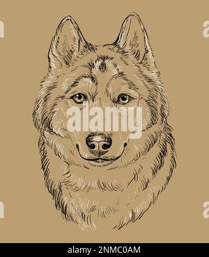 Husky hand drawn sketch. Purebred dog sitting isolated on white ...