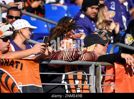 BALTIMORE, MD - OCTOBER 24: A view of the helmet of a Cincinnati Bengal  during the Cincinnati Bengals game versus the Baltimore Ravens on October  24, 2021 at M&T Bank Stadium in