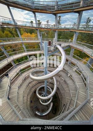 Bad Wildbad, Germany - October 13, 2020: People tourists walking on observation tower and treetop path (germ. Baumwipfelpfad) Black Forest (germ. Schw Stock Photo