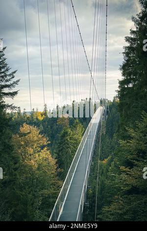 Bad Wildbad, Germany - October 13, 2020: Wildline suspension bridge Stock Photo