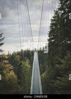 Bad Wildbad, Germany - October 13, 2020: Wildline suspension bridge Stock Photo