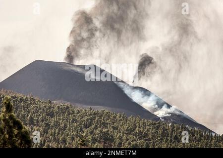 Smoke cloud from the Cumbre Vieja volcano, on 24 November 2021, in Los  Llanos de Aridane, Santa Cruz de Tenerife, Canary Islands, (Spain). The  Cumbre Vieja volcano, which began to roar on