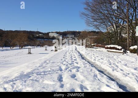 Sendai, Miyagi, Japan, February 2023. Scenery around the bridge over ...