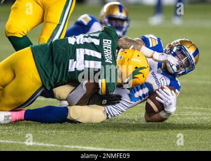 Winnipeg Blue Bombers' Greg McCrae (29) and Brady Oliveira (20) celebrate  Oliveira‚Äôs touchdown against the Edmonton Elks during first half CFL  action in Winnipeg on October 8, 2022. Oliveira will make his