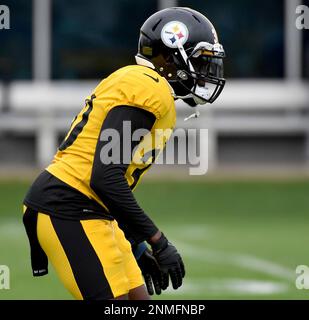 Pittsburgh Steelers safety Karl Joseph (38) is carted off the