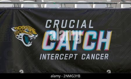 Jacksonville Jaguars on X: When your field wall banners are 