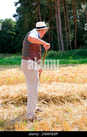 Farmer in the field turning straw Stock Photo