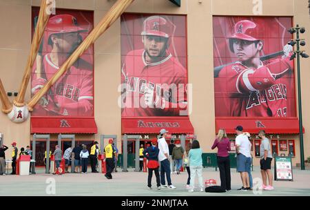 Los Angeles Angels Shohei Ohtani 22 x 34 Player Poster