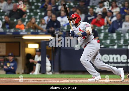 MILWAUKEE, WI - SEPTEMBER 22: St. Louis Cardinals starting pitcher Miles  Mikolas (39) bunts during a game between the Milwaukee Brewers and the St  Louis Cardinals at American Family Field on September