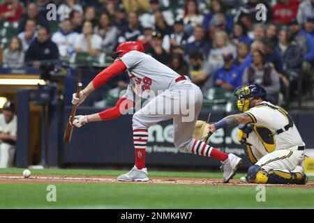 MILWAUKEE, WI - SEPTEMBER 27: St. Louis Cardinals starting pitcher Miles  Mikolas (39) pitches during a game between the Milwaukee Brewers and the  St. Louis Cardinals on September 27, 2022 at American