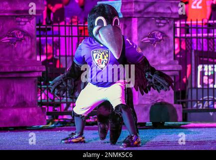 BALTIMORE, MD - SEPTEMBER 19: Baltimore Ravens running back Ty'Son Williams  (34) is congratulated by wide receiver Devin Duvernay (13) after his fumble  recovery for a touchdown during the Kansas City Chiefs