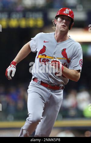 Milwaukee, USA. 03rd Sep, 2021. September 03, 2021: St. Louis Cardinals  center fielder Harrison Bader #48 signs autographs before the MLB baseball  game between the St. Louis Cardinals and the Milwaukee Brewers