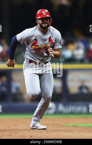 Milwaukee, USA. 03rd Sep, 2021. September 03, 2021: St. Louis Cardinals  center fielder Harrison Bader #48 signs autographs before the MLB baseball  game between the St. Louis Cardinals and the Milwaukee Brewers