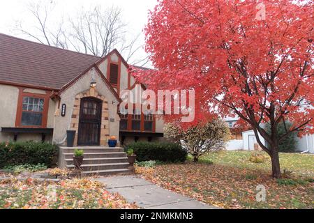 Beautiful red autumn maple tree in the front yard of a neighborhood home. St Paul Minnesota MN USA Stock Photo