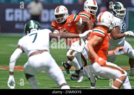 NO FILM, NO VIDEO, NO TV, NO DOCUMENTARY - Anthony Fasano of the Miami  Dolphins celebrates a touchdown with Roberto Wallace (18) in the second  quarter of an NFL game against the