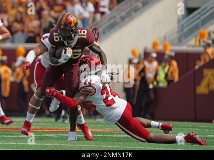 September 16, 2021, Minneapolis, Minnesota, USA. Emblem of a professional  American football team Minnesota Vikings based in Minneapolis at the sports  Stock Photo - Alamy