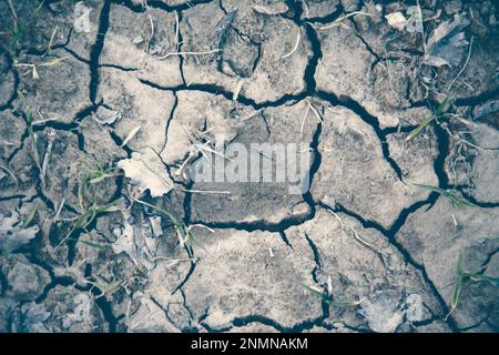 Cracked earth on dray season. Image can be used as background or pattern. Stock Photo